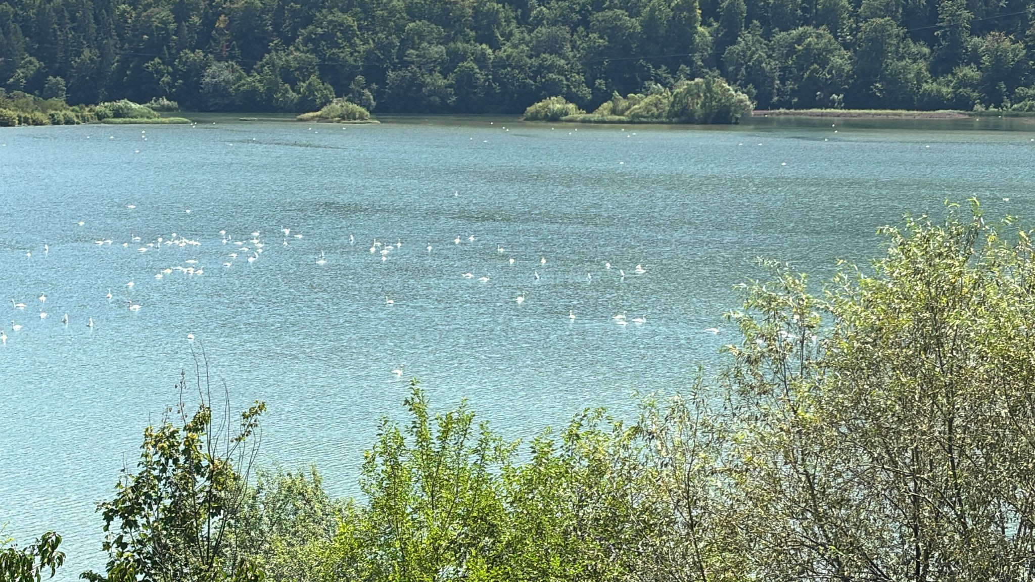 Lac Bistrita