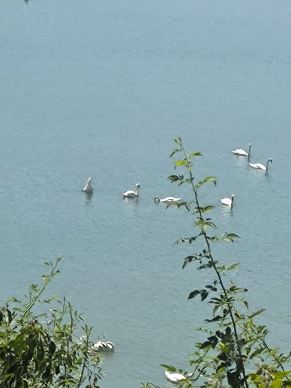 Lac de Bistrita