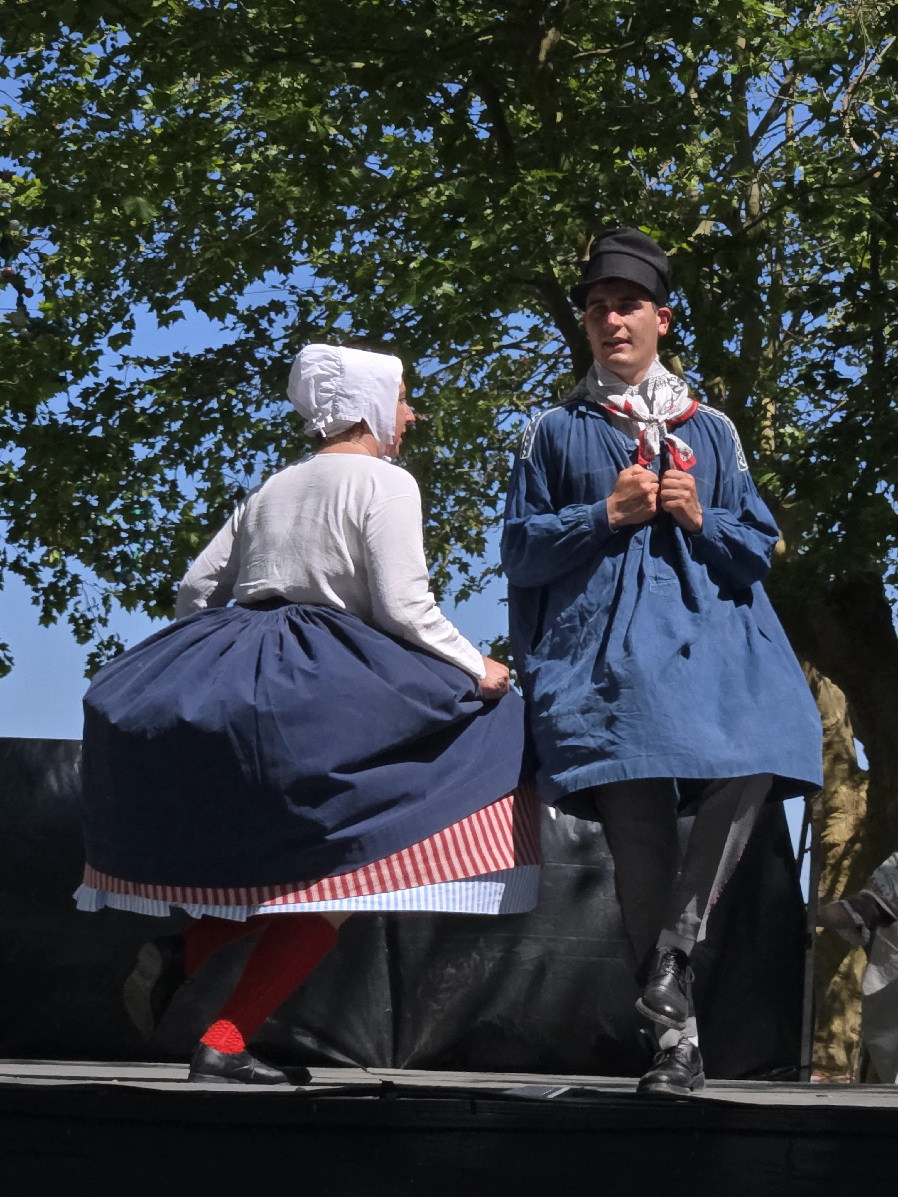 Spectacle Lous Reoules