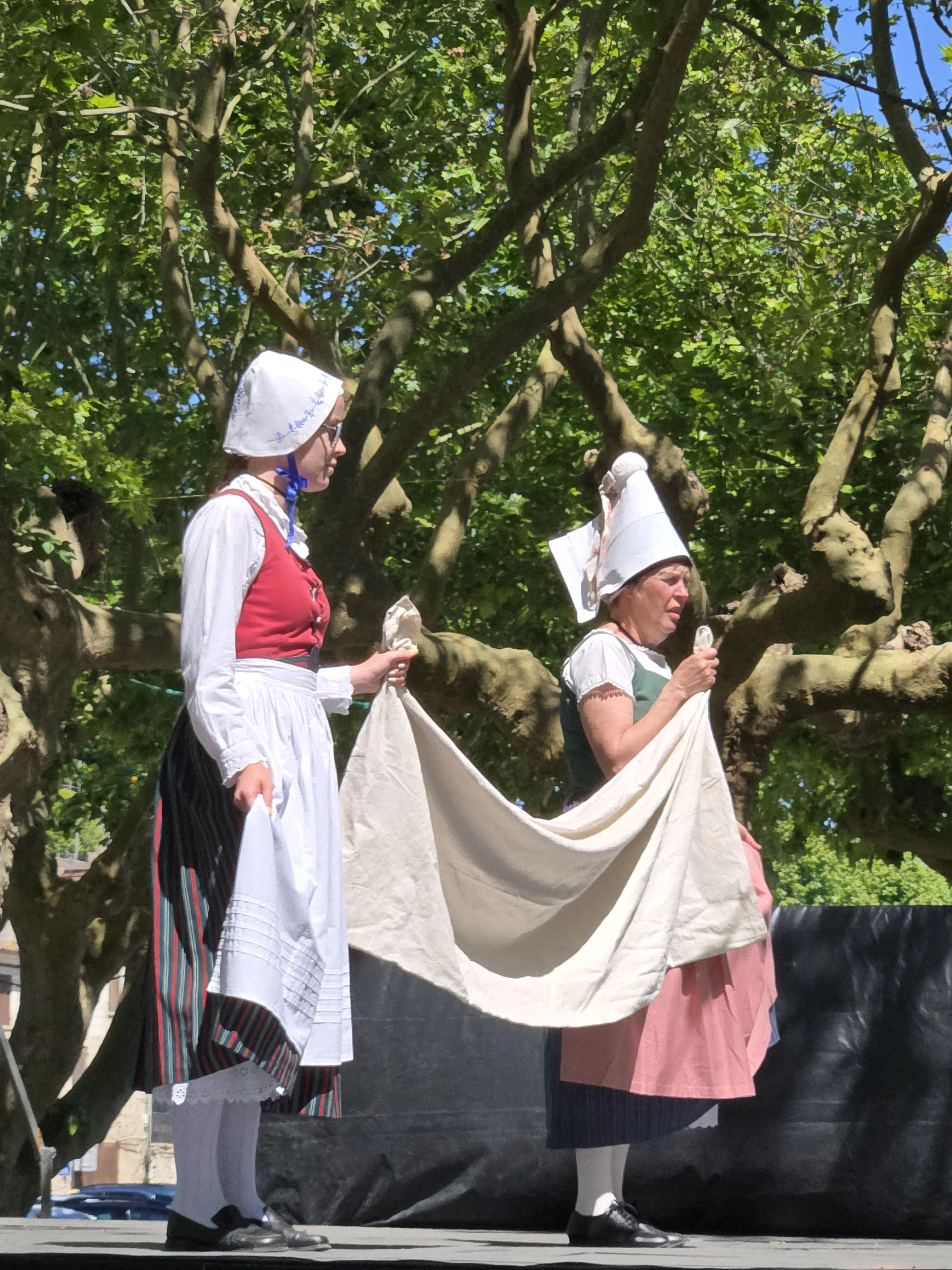 Spectacle Lous Reoules
