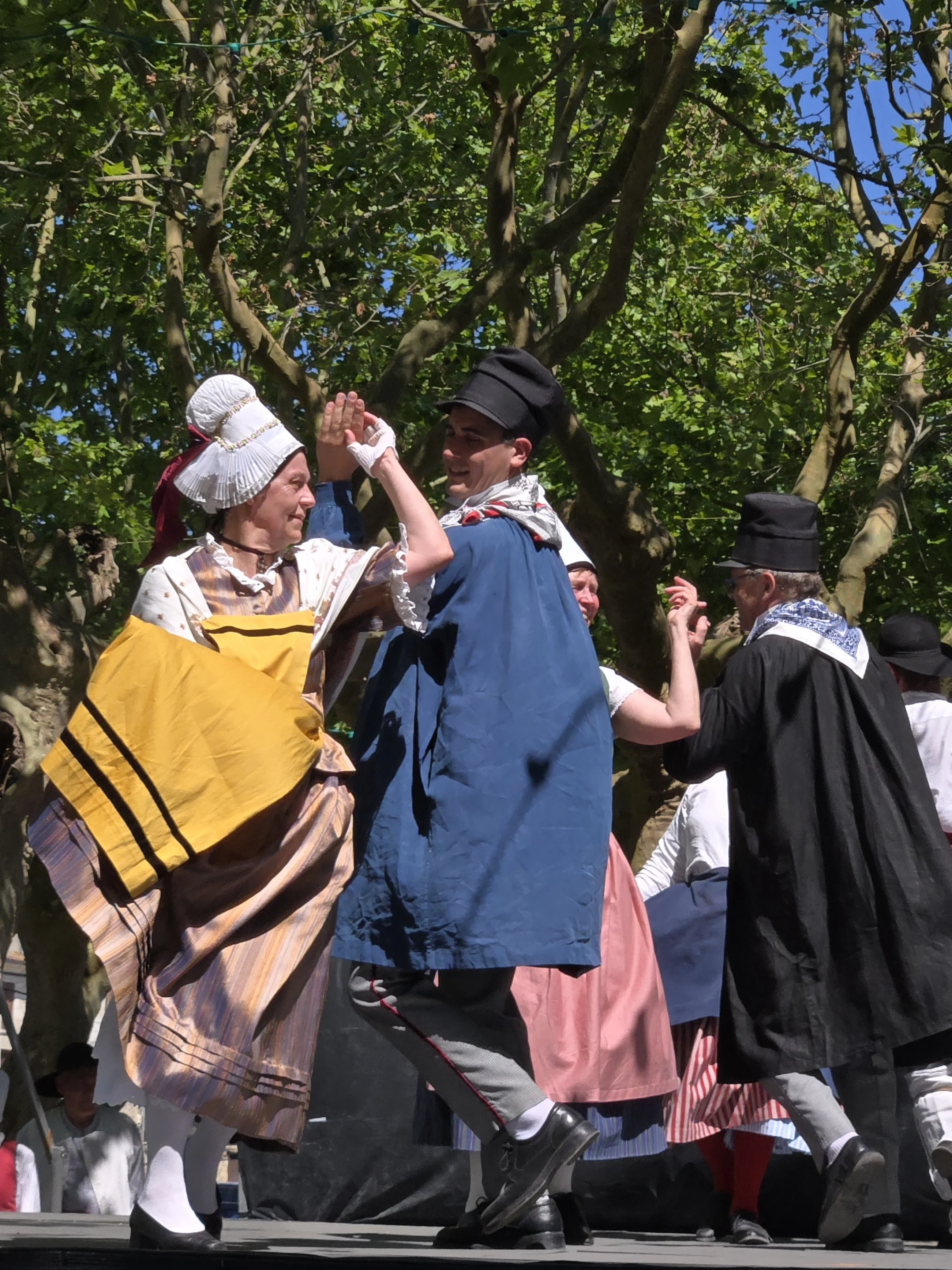 Spectacle Lous Reoules