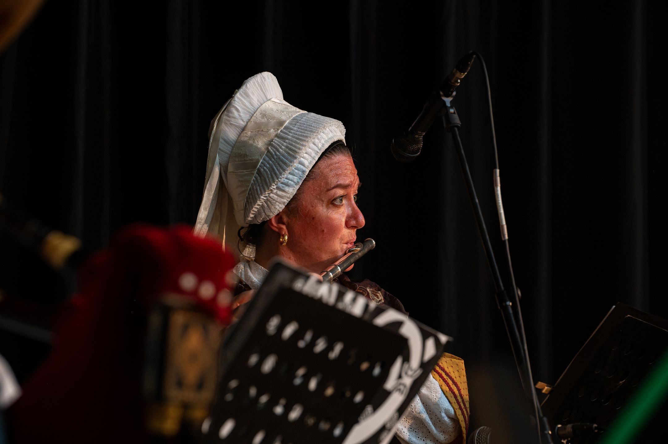 Spectacle du dimanche - Les amis du vieux Poitou (Vienne)