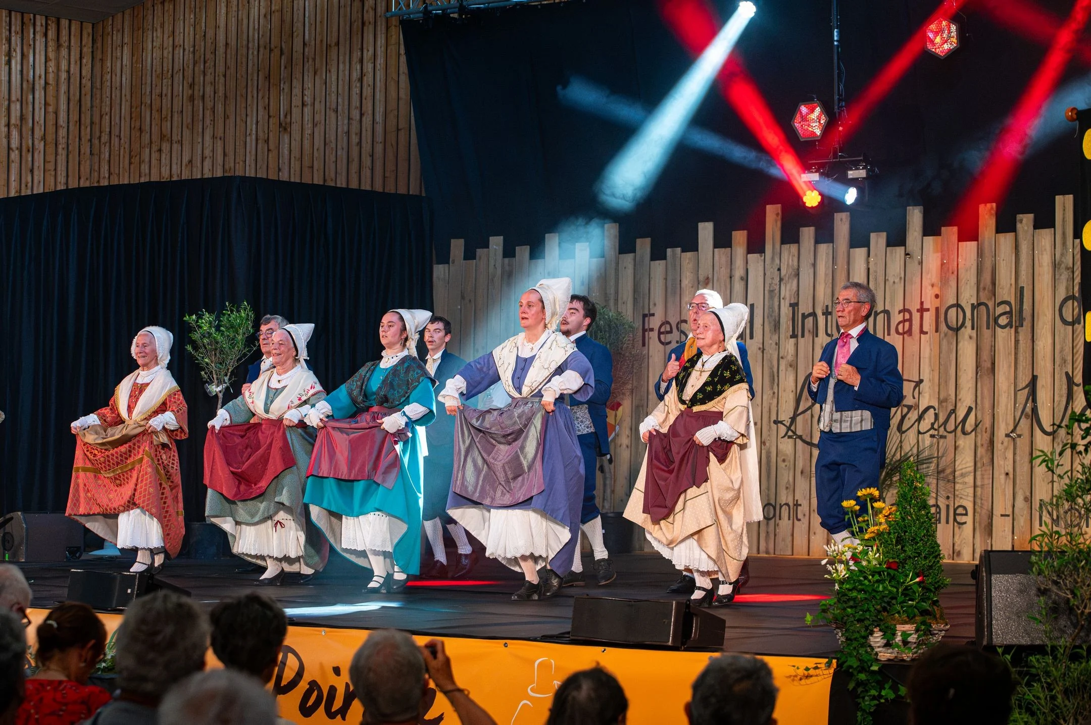 Spectacle du dimanche - Les amis du vieux Poitou (Vienne)